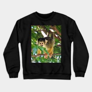 Squirrel Monkey Crewneck Sweatshirt